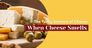 The Funky Science of Cheese: When Cheese Smells